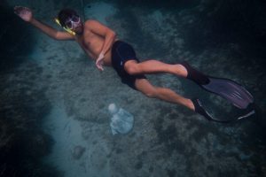 Apnea_06102016-11